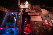 Image from Orlando Informer