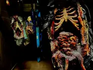 Image from PasadenaStarNews.com