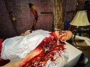 Credit to Dallas thompson and relive the magic