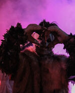 Image from the_bride_of_hhn on Instagram