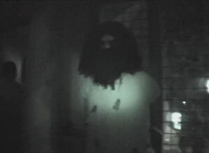 Bearded Asylum Patient