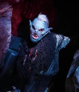 Image from exploringattractions on Instagram