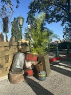 GT5dzMDXQAAKSNk.jpg (1,012 KB) Image from SpeculationMatt on Twitter