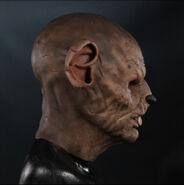 Image from Immortal Masks