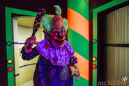 Image from Westcoaster.net