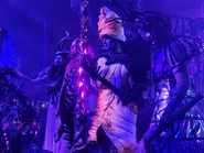 Image from Nathaniel Wilson