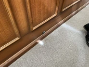 Image from @ThemeParkDuo on Twitter