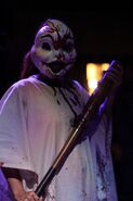 Image from Bees Photography