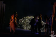 Image from amusementplanet.com