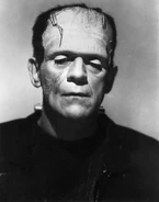 Frankenstein's Monster, a member of the Kerezan Legion.