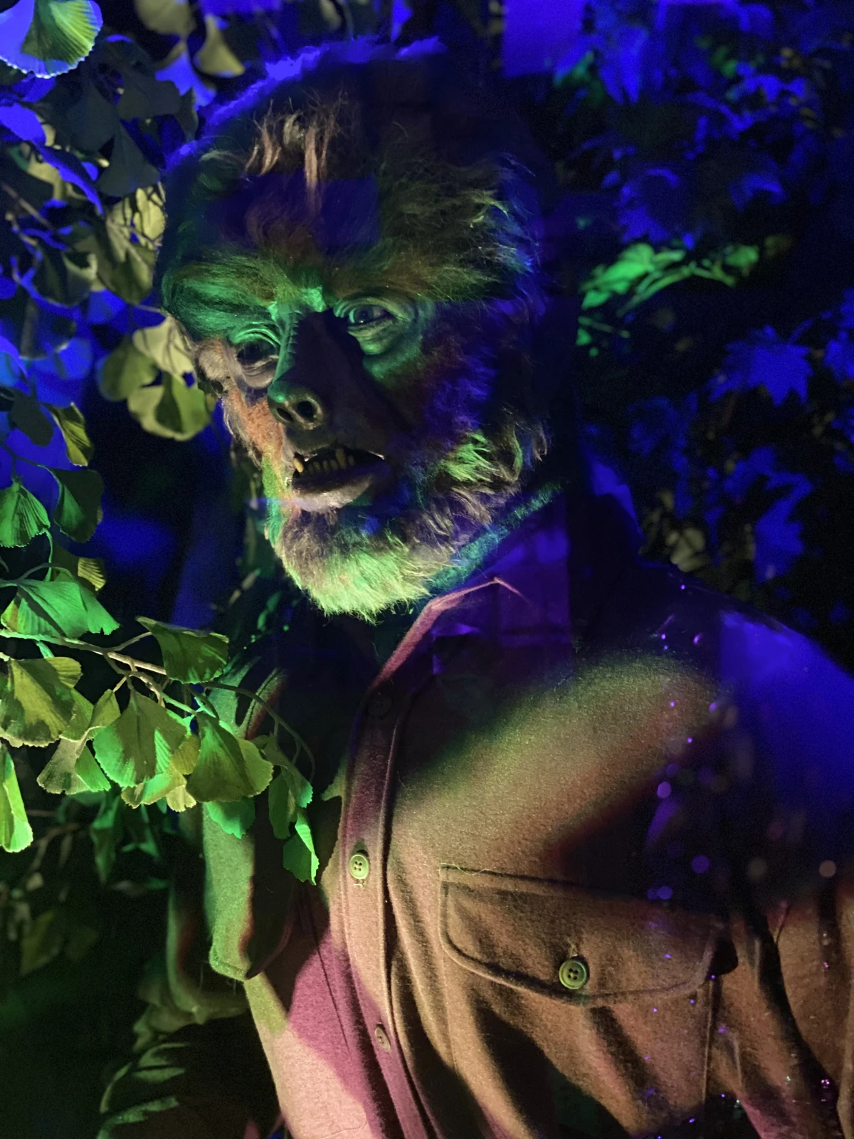 Universal Studios' Classic Monsters Cafe | Halloween Horror Nights Wiki |  Fandom