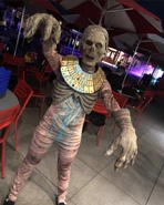 Image from thedaphneshow on Instagram