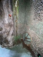 Image from HorrorUnearthed