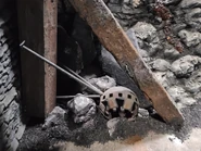 20210929 091737.jpg (2.9 MB) Image from HHNManics