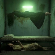 BAED81F6-B294-4DE6-A121-346ABCC4CBA3.jpeg (178 KB) Image from Joshua Hoffine