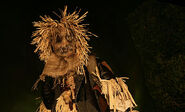 Scarecrow