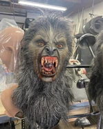 Image from bloodandbutts on Instagram