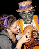 Image from Gian Petri on Flickr