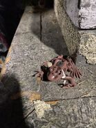 Image from HorrorUnearthed