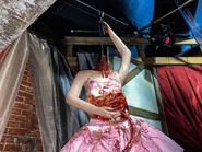 Credit to Dallas thompson and relive the magic