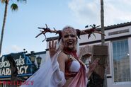 Image from HHN Legacy