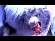 FULL An American Werewolf in London haunted house at Halloween Horror Nights 2014, Hollywood