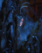 Image from macyriddle on Instagram