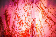 Image from Dejiki.com