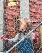 Image from candy_bat on Instagram