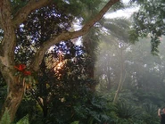 Image from the now defunct IOACentral.com