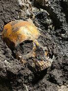 Image from HorrorUnearthed