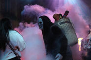 Image from the_bride_of_hhn on Instagram