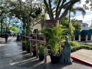 SwampofTheUndeadConstructionInsideUniversal003.jpeg (1.1 MB) Image from InsideUniversal on Twitter