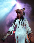Image from the_bride_of_hhn on Instagram