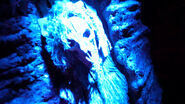 Image from TheDis on youtube