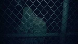 Armless Man Image from Universal Orlando Resort