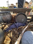 Image from @HHNstagram on Twitter