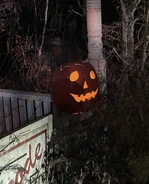 Image from thejetlifejd on Instagram