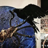 Image from UniversallyOrlando on Instagram