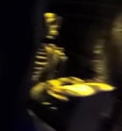 Image from Relaxing Reality on Youtube.