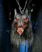 Image from exploringattractions on Instagram