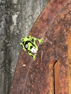 Image from HorrorUnearthed