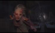 Image from Wesh 2