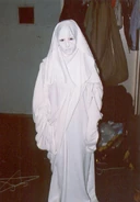 SHRC43.png (362 KB) Image from hhncast.com.