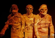 Image from Westcoaster.com