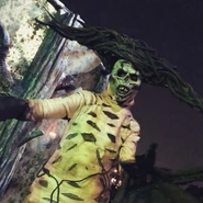 Image from TheHHNYearbook