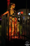 Image from amusementplanet.com