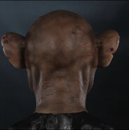 Image from Immortal Masks