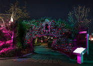 Image from USJ