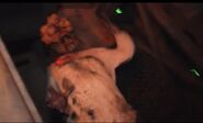 Image from Wesh 2